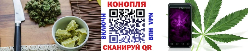 как найти   Поворино  Еда ТГК марихуана 