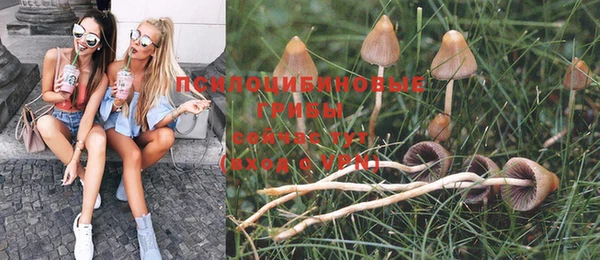 мдма Нефтекумск