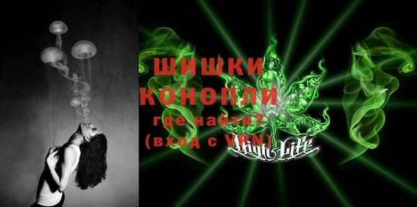 прущие грибы Нея