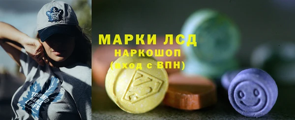 прущие грибы Нея