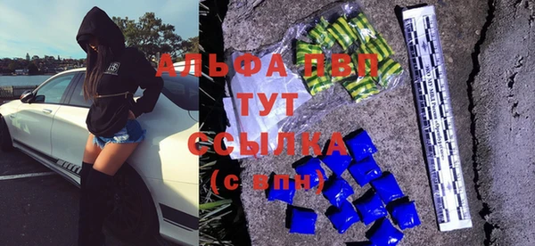 прущие грибы Нея