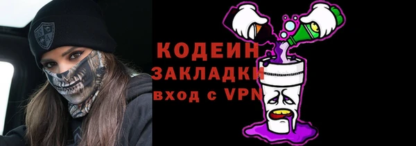 прущие грибы Нея