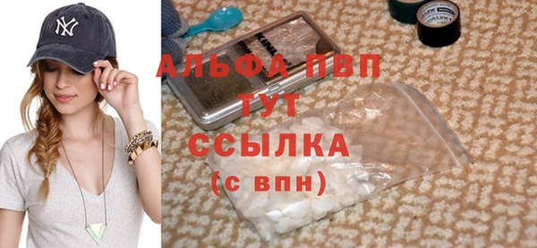 прущие грибы Нея