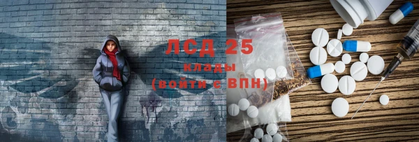 прущие грибы Нея