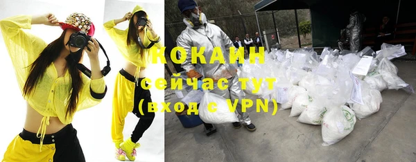 прущие грибы Нея
