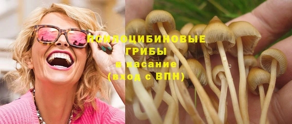 мескалин Нефтегорск
